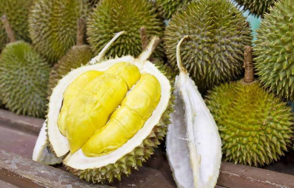 Ngu Hiep Durian, Tien Giang Region Dong Thap Province